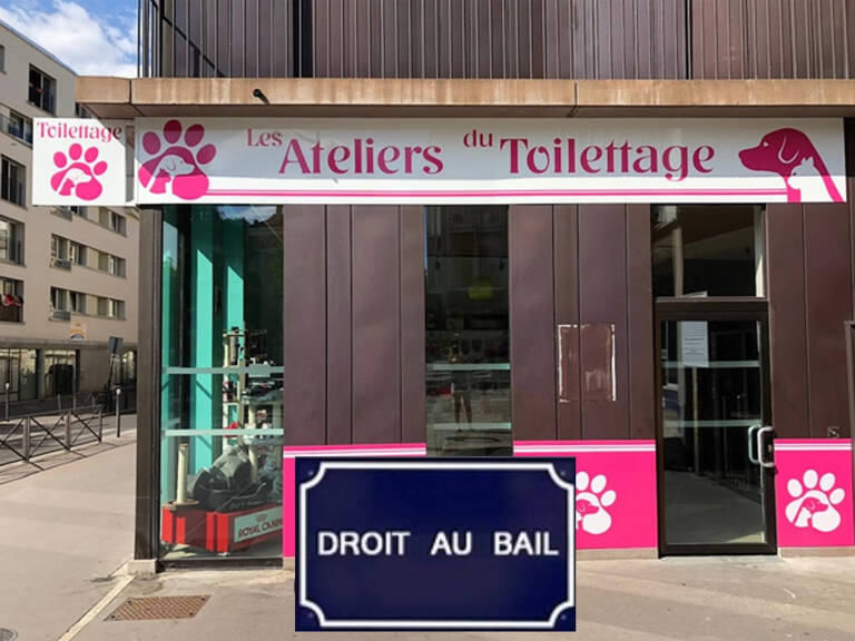 boutique 45 m2 IDEAL SALON DE TOILETAGE — photo 1