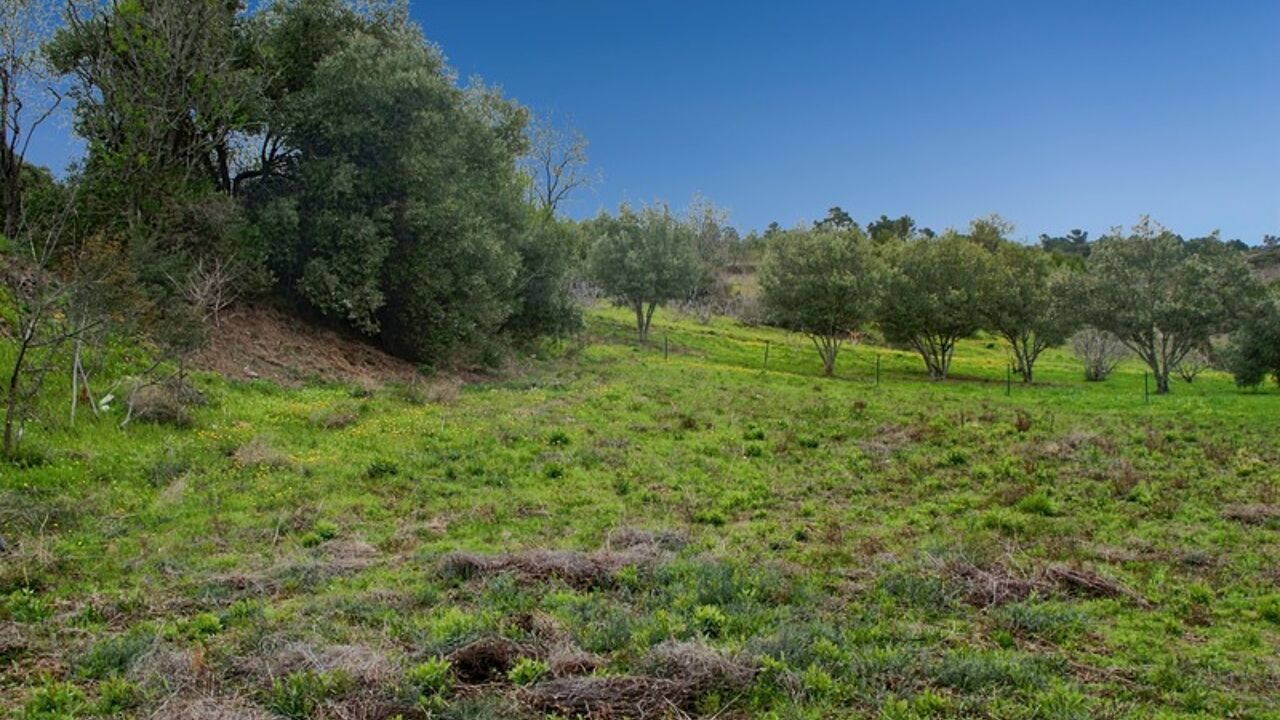 terrain  pièces 1600 m2 à vendre à Caunes-Minervois (11160)