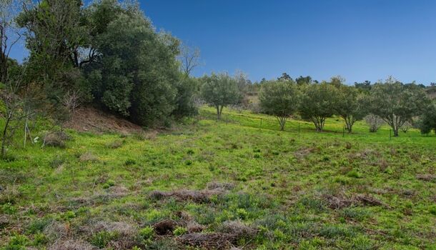 Terrain  à vendre Caunes-Minervois 11160