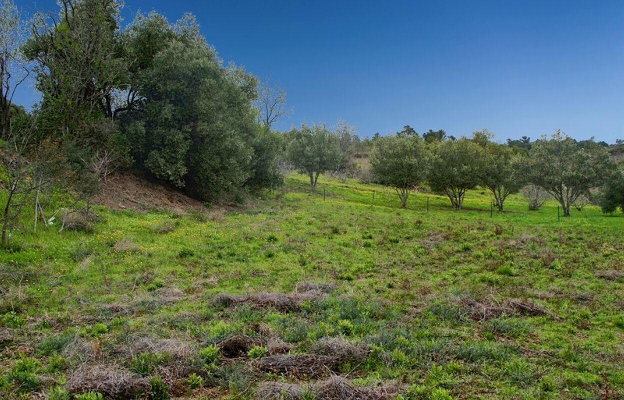 terrain  pièces 1600 m2 à vendre à Caunes-Minervois (11160)