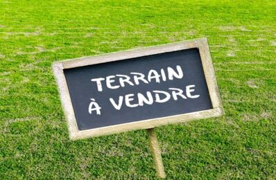 vente terrain 81 500 € à proximité de Sigloy (45110)