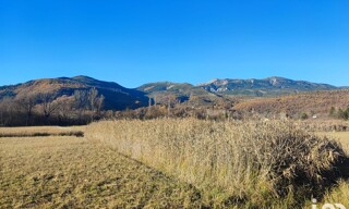 Photo N° 6