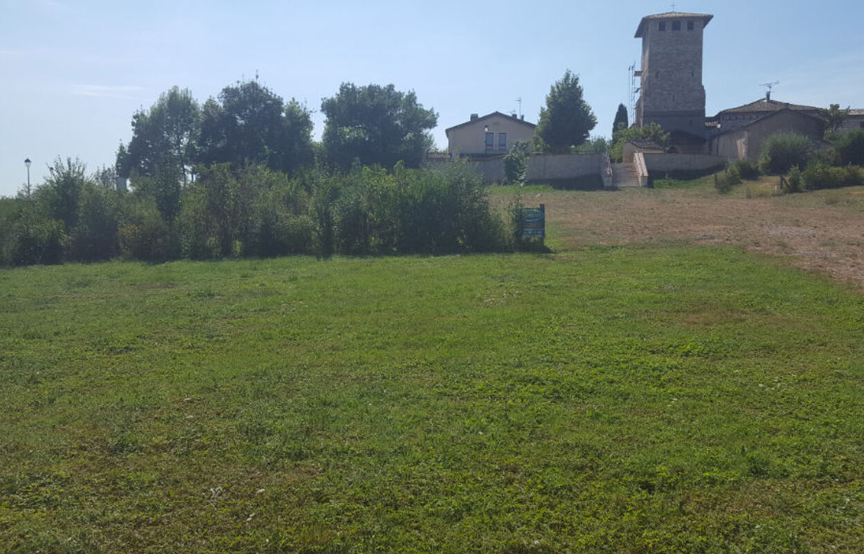 terrain  pièces 374 m2 à vendre à Albi (81000)