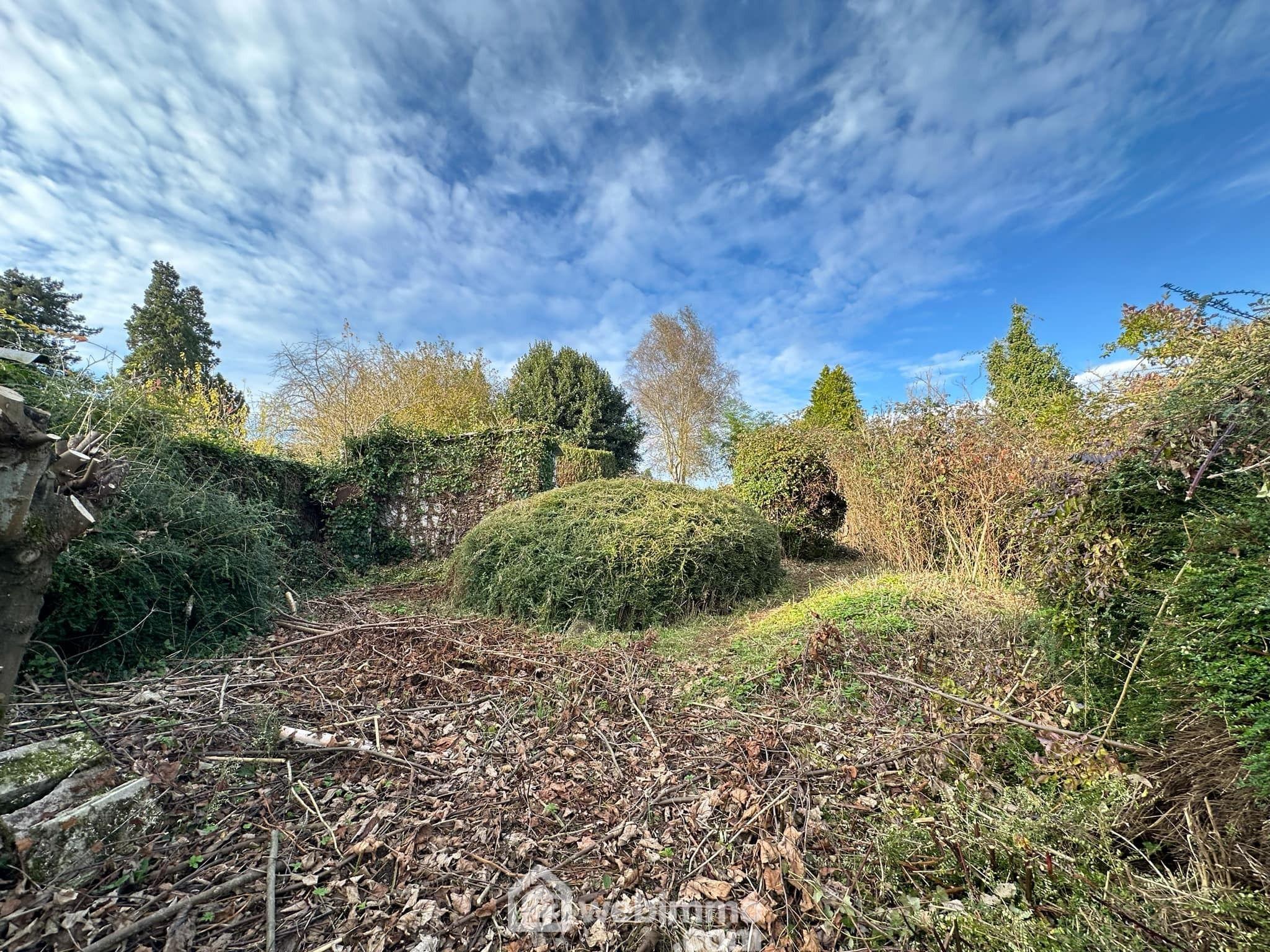 Photo Terrain constructible - 475m² - Chaillevois image 4/4