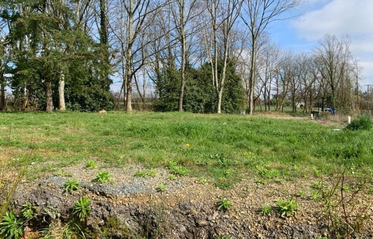 terrain  pièces 746 m2 à vendre à Nozay (44170)