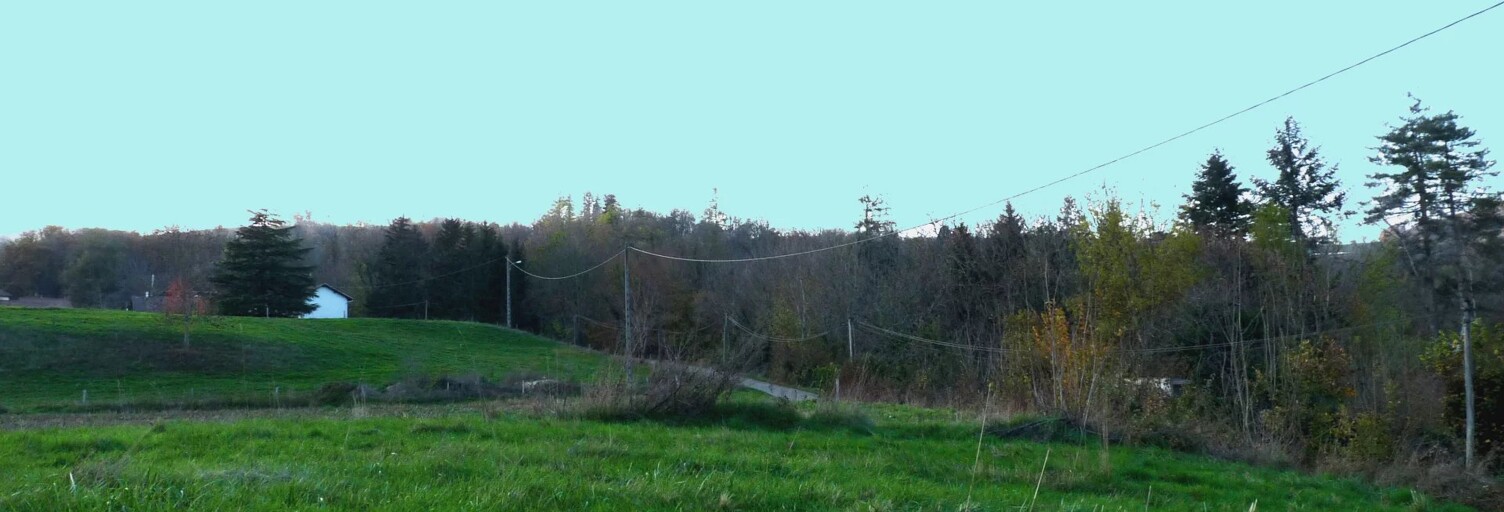 Photo N° 2