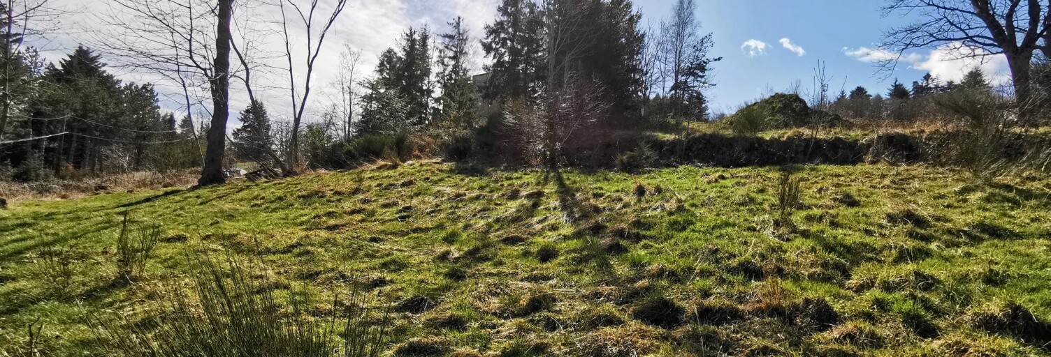 Terrain  850 m² à vendre à Saint-Jean-Soleymieux (42560)