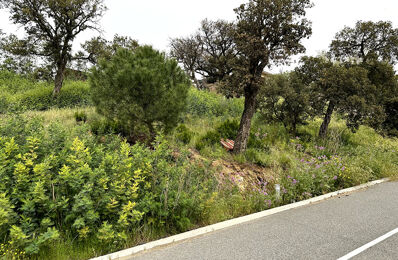 vente terrain 276 000 € à proximité de Saint-Tropez (83990)