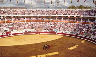 Commerce  166 m² à vendre à Dax (40100)