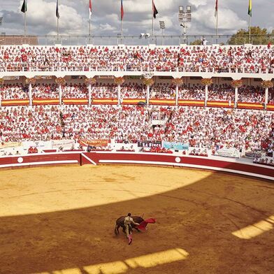 Commerce  181000 €