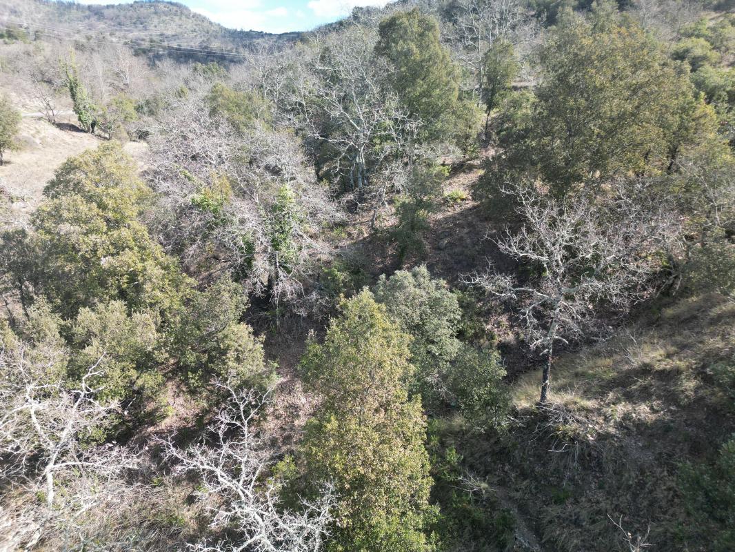 Terrain  à vendre Lagorce 07150