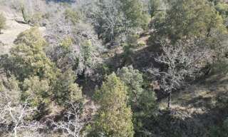 Terrain  25150 m² à vendre à Lagorce (07150)