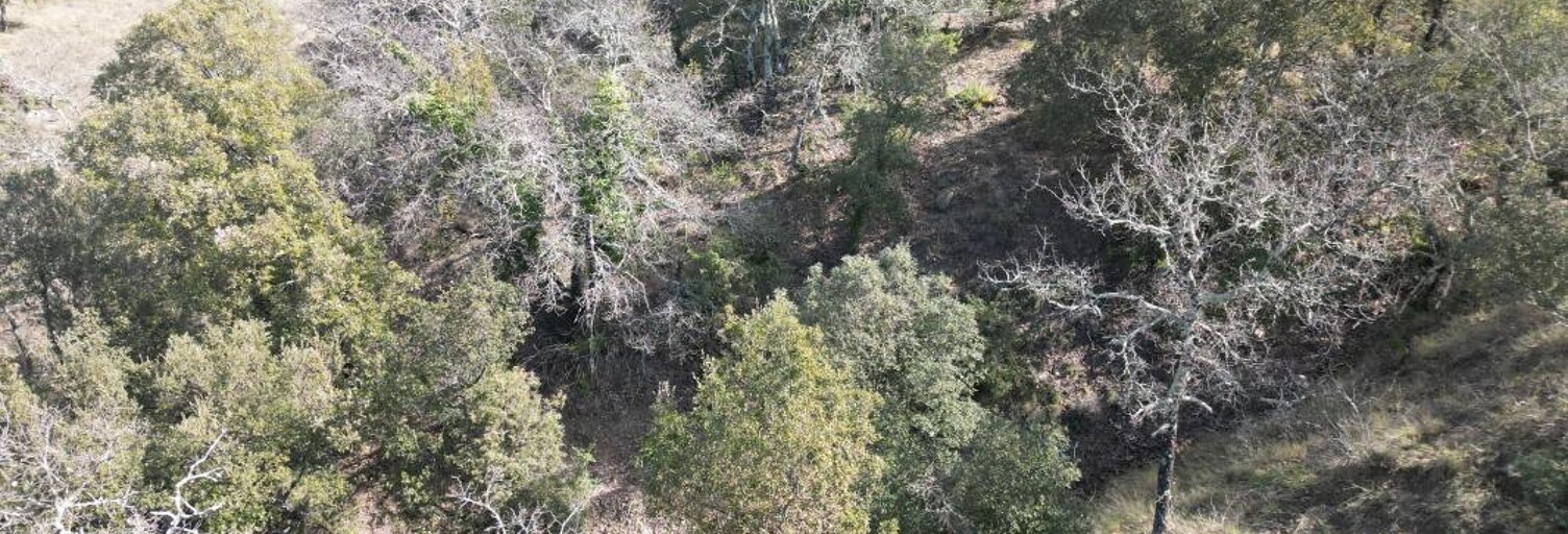 Terrain  25150 m² à vendre à Lagorce (07150)