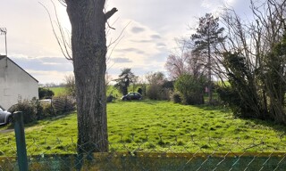 Photo N° 4
