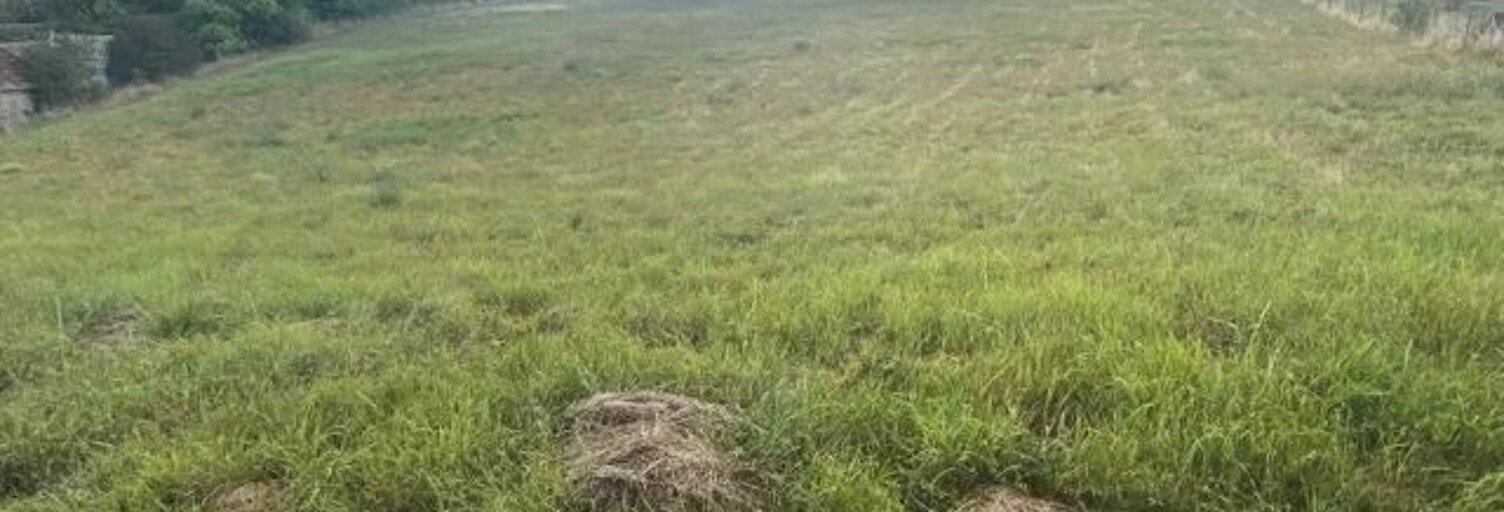 Terrain  1094 m² à vendre à Mouffy (89560)