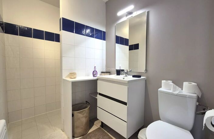 ALBI BREUIL - Villa T1 meublée — photo 5
