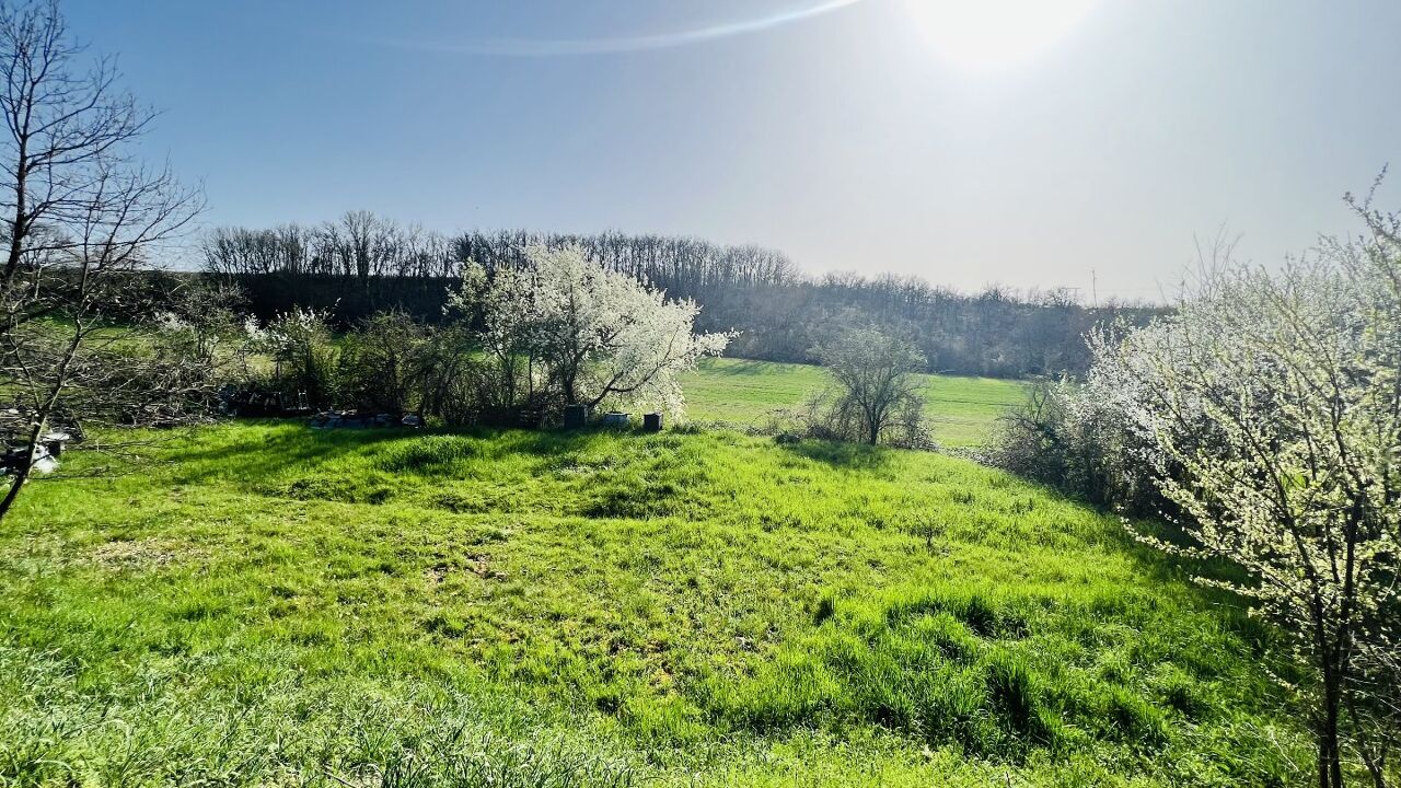 terrain  pièces 1028 m2 à vendre à Saliès (81990)