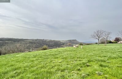 vente maison 199 000 € à proximité de Clairvaux-d'Aveyron (12330)