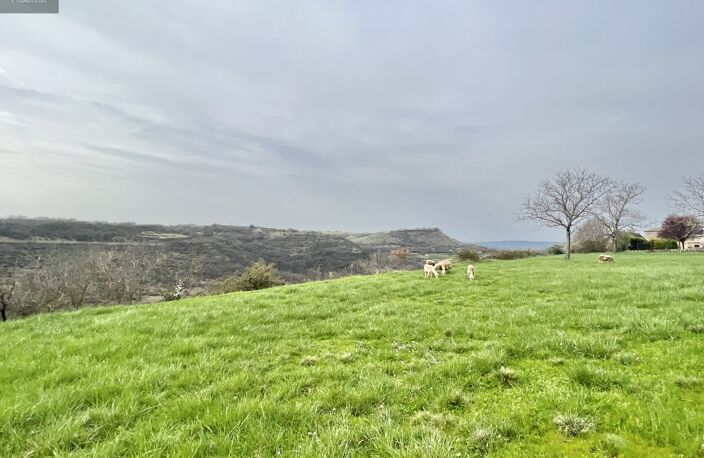 Demeure de charme SALLES LA SOURCE — photo 2