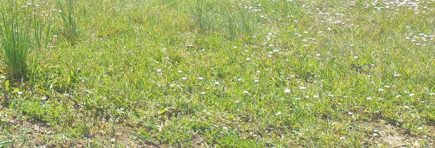 Terrain  2000 m² à vendre à Méharin (64120)