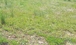 Terrain  2000 m² à vendre à Méharin (64120)