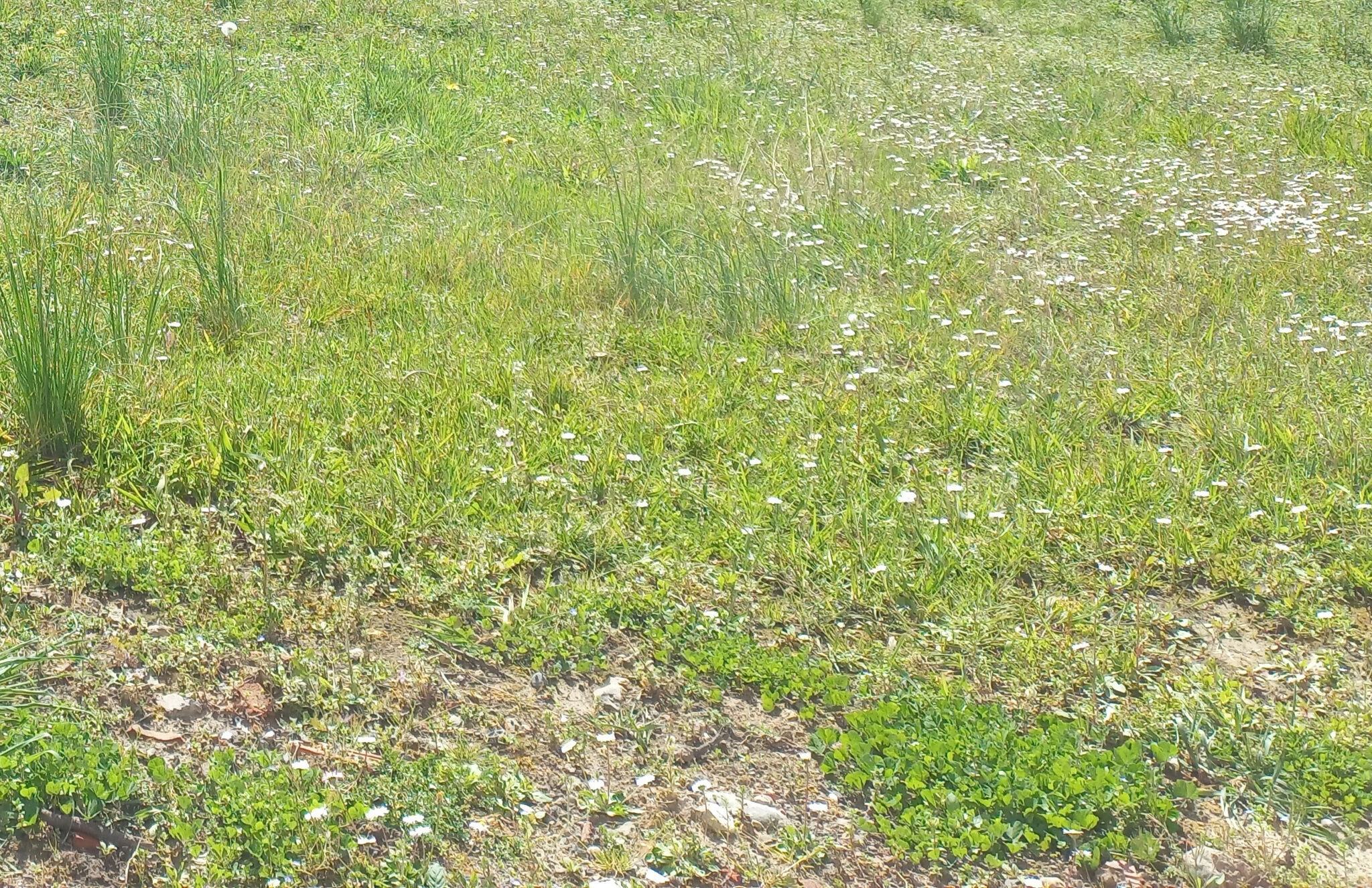 Terrain  à vendre Méharin 64120