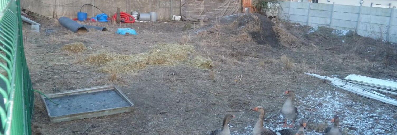 Terrain  384 m² à vendre à Neuville-Saint-Rémy (59554)