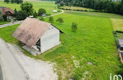 vente terrain 314 500 € à proximité de Feldbach (68640)