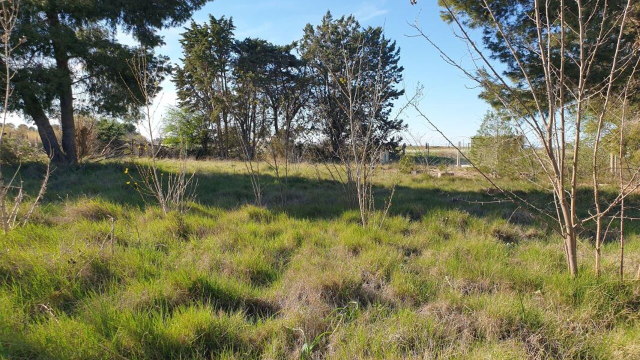 terrain  pièces 569 m2 à vendre à Marseillan (34340)