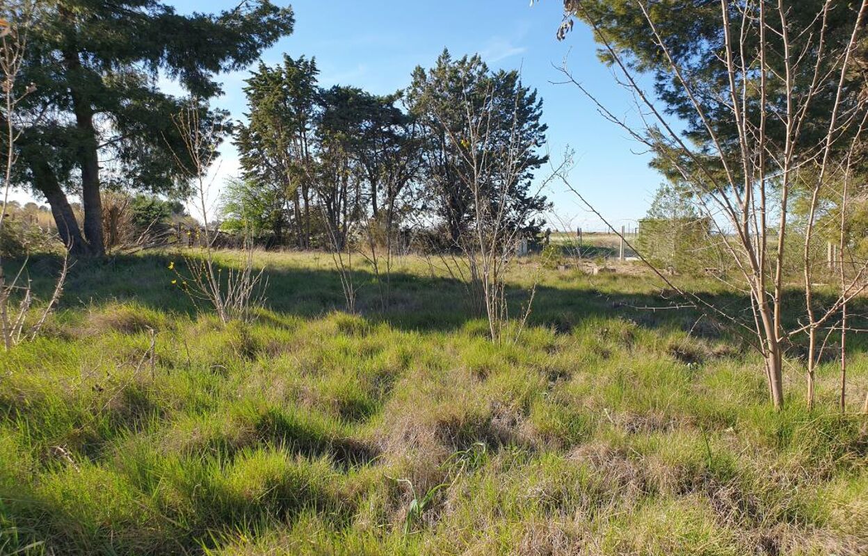 terrain  pièces 569 m2 à vendre à Marseillan (34340)