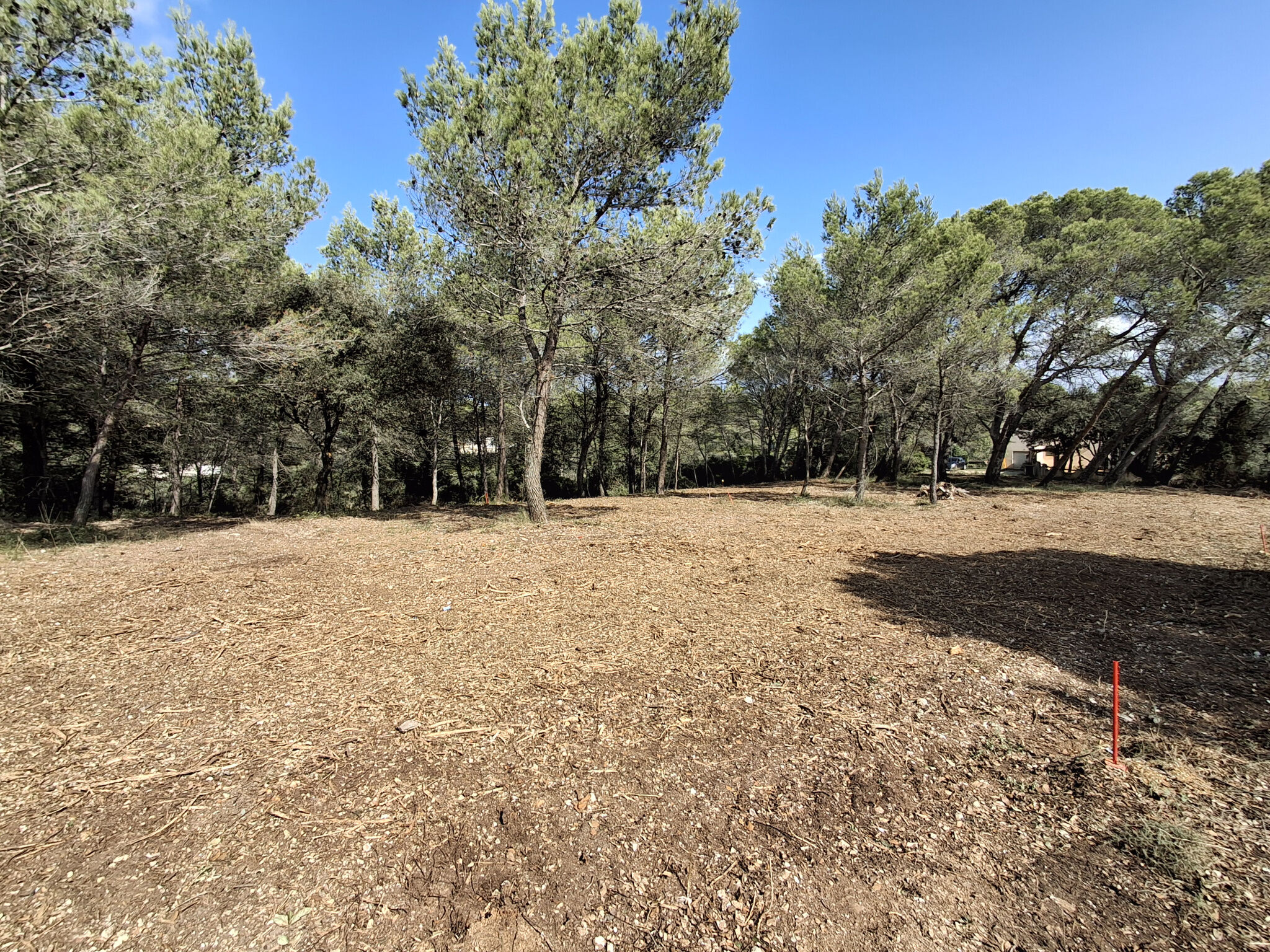 Terrain  à vendre Poulx 30320