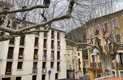 vente appartement 40 000 € à proximité de Reynès (66400)
