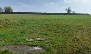 Terrain  645 m² à vendre à Brillon-en-Barrois (55000)