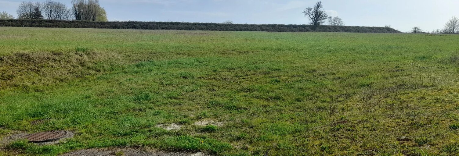 Terrain  645 m² à vendre à Brillon-en-Barrois (55000)