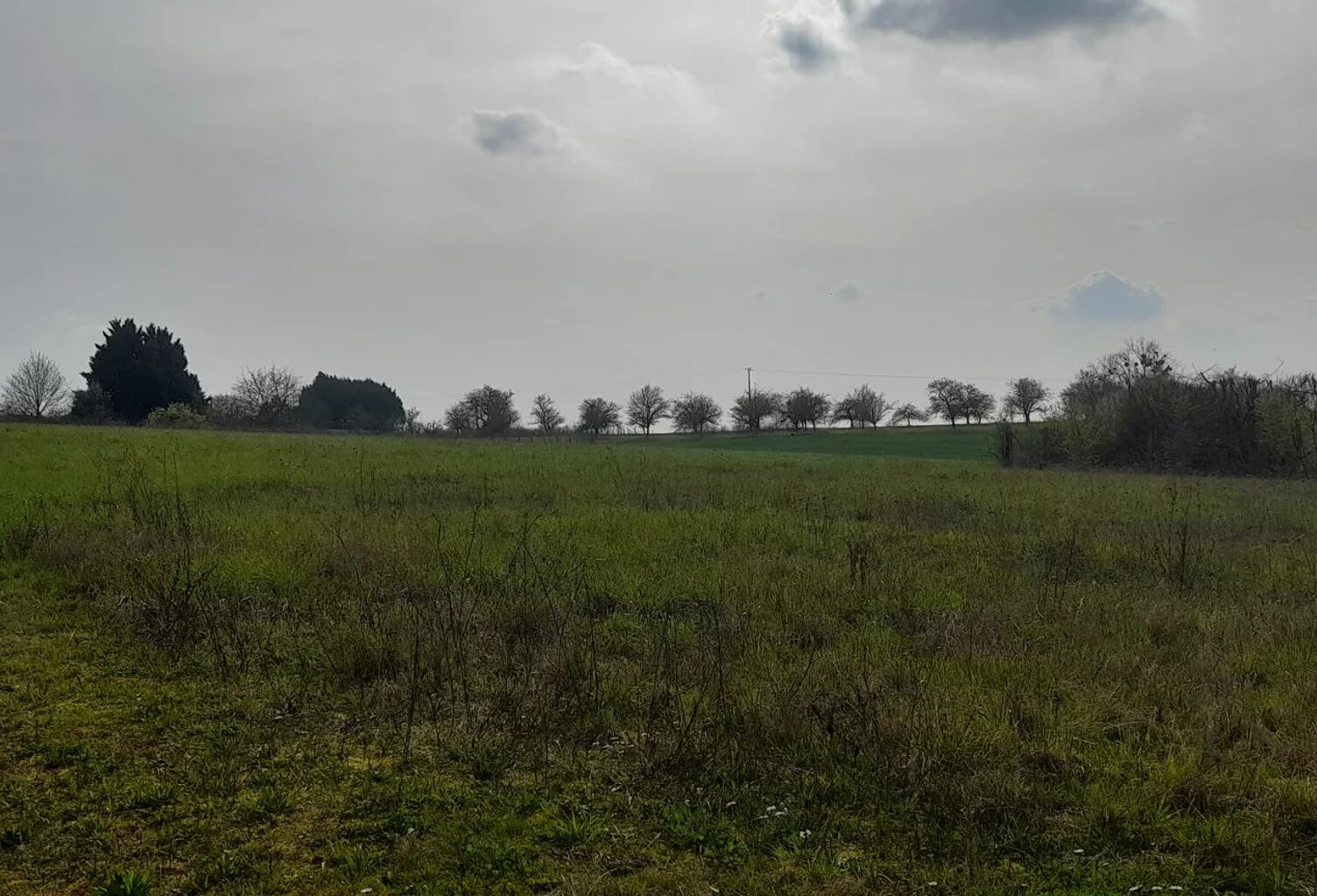 Terrain constructible borné et viabilisé de 980m² — photo 1