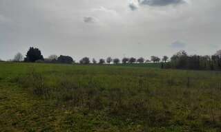 Terrain  980 m² à vendre à Brillon-en-Barrois (55000)