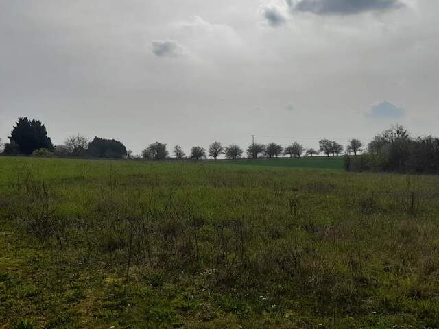 Terrain constructible borné et viabilisé de 980m² — photo du bien