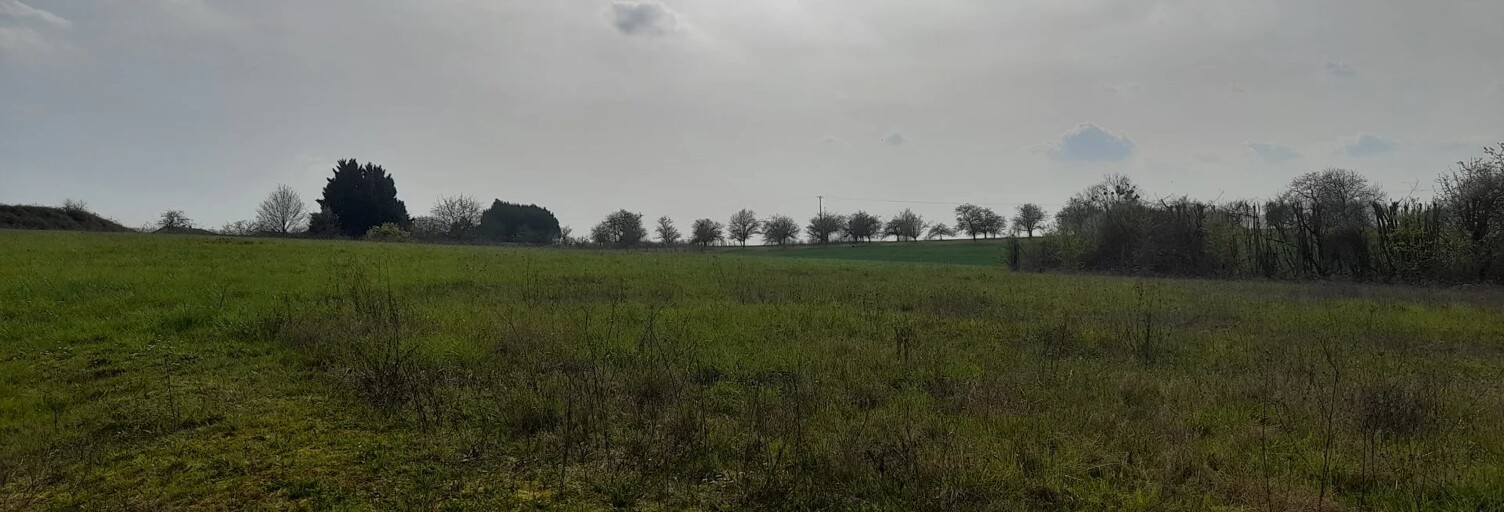 Terrain  980 m² à vendre à Brillon-en-Barrois (55000)