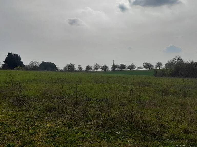 Terrain constructible borné et viabilisé de 980m² — photo 1