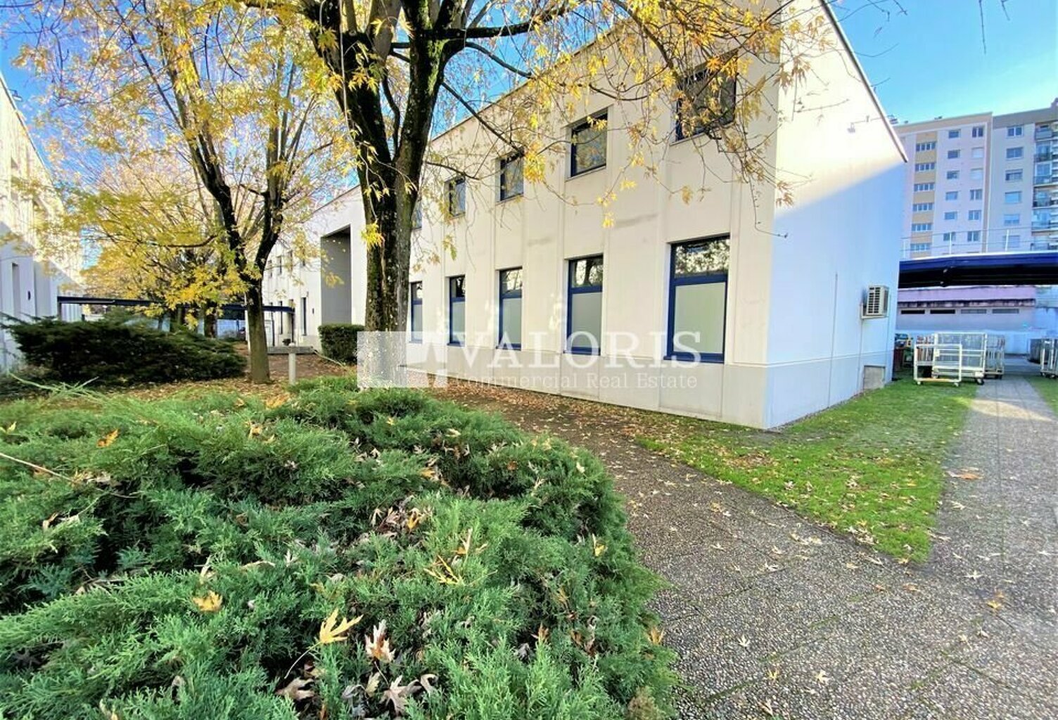 BUREAUX à LOUER — photo 1