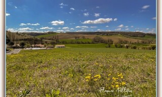 Photo N° 3