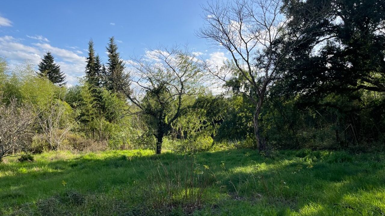 terrain  pièces 2500 m2 à vendre à Rion-des-Landes (40370)