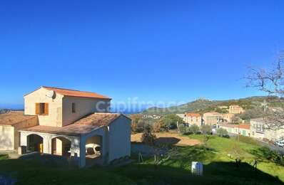 vente maison 580 000 € à proximité de Montegrosso (20214)