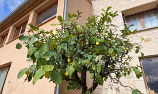 Maison 4 Pièces 120 m² à vendre à Vaison-la-Romaine (84110)