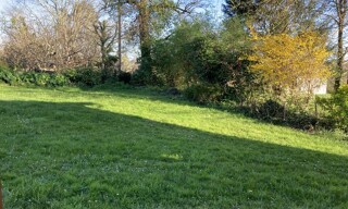 Photo N° 6