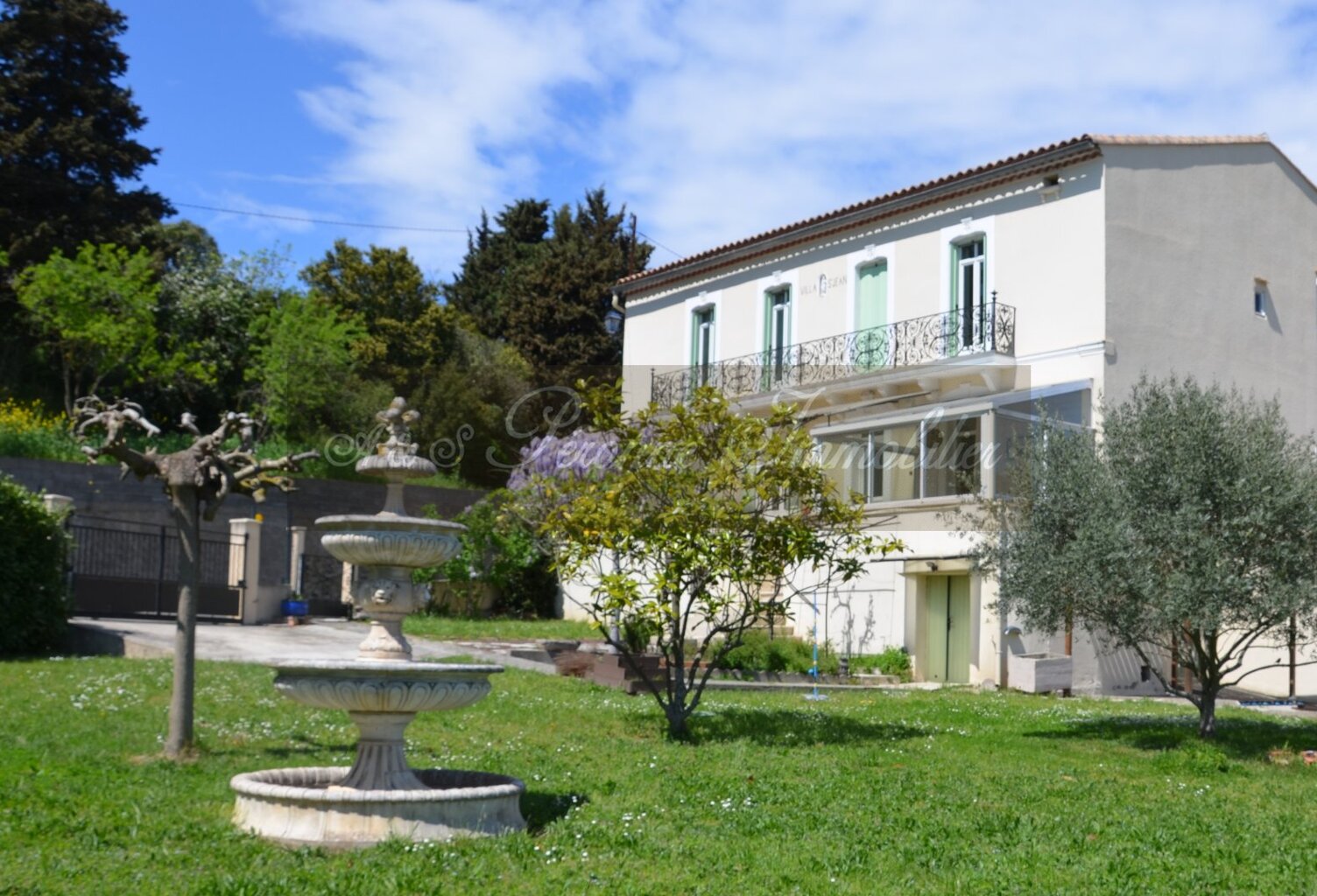 Maison vigneronne — photo 1