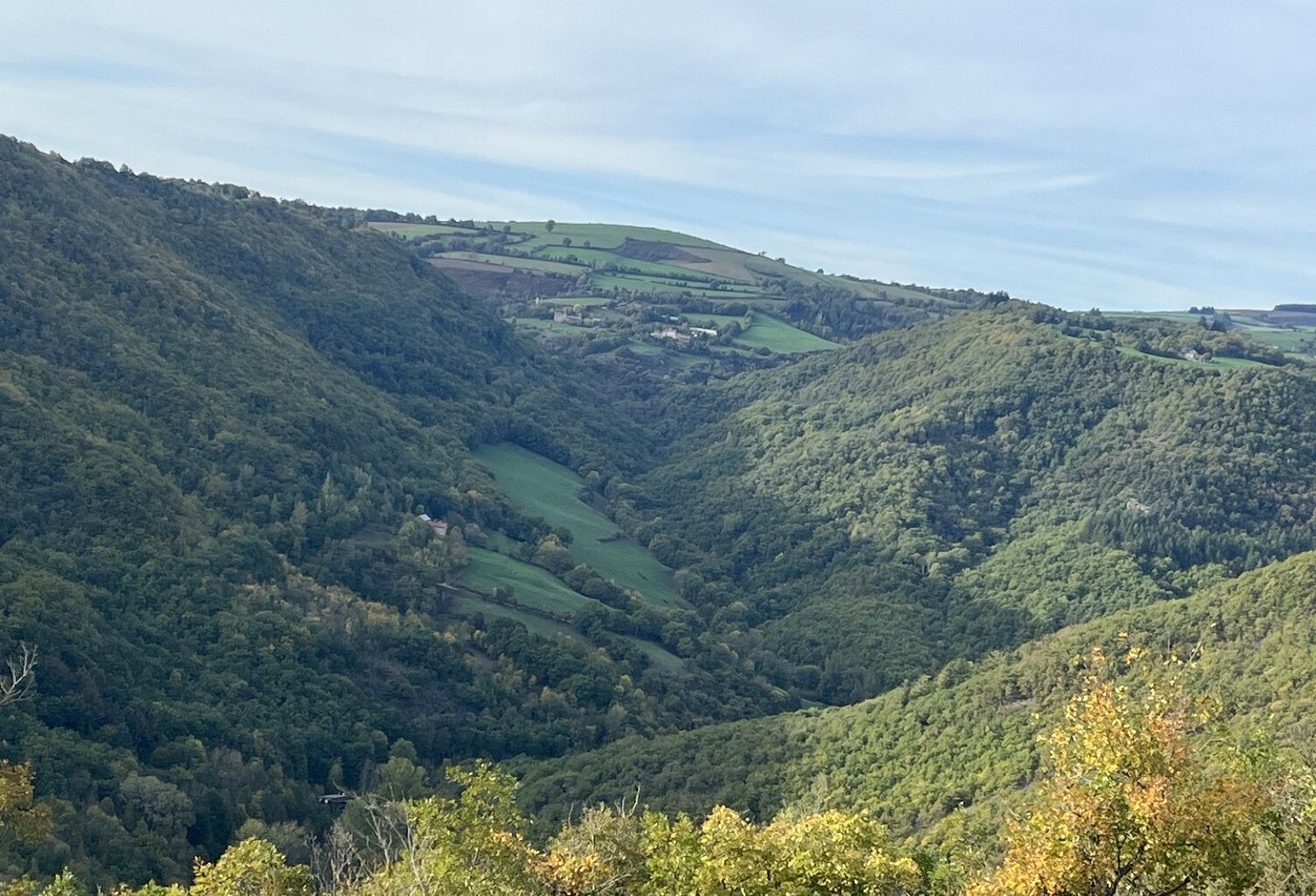 Terrain boisé  forêt — photo 1