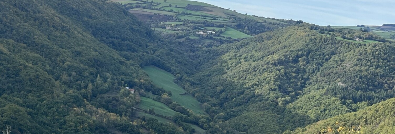 Terrain  60000 m² à vendre à Verrières (12520)