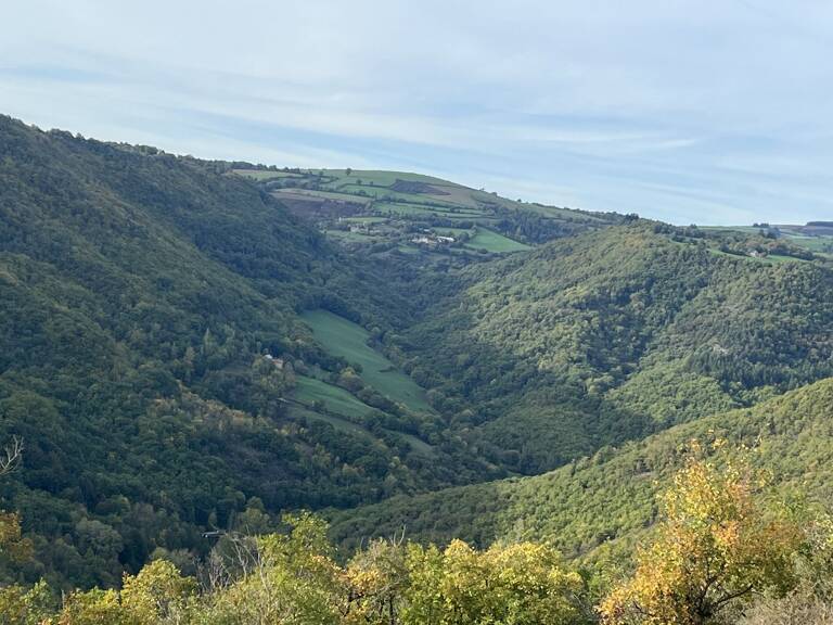 Terrain boisé  forêt — photo 1