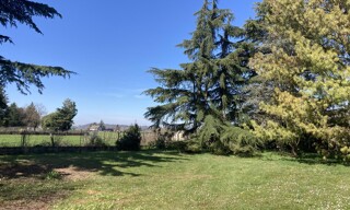 Photo N° 4